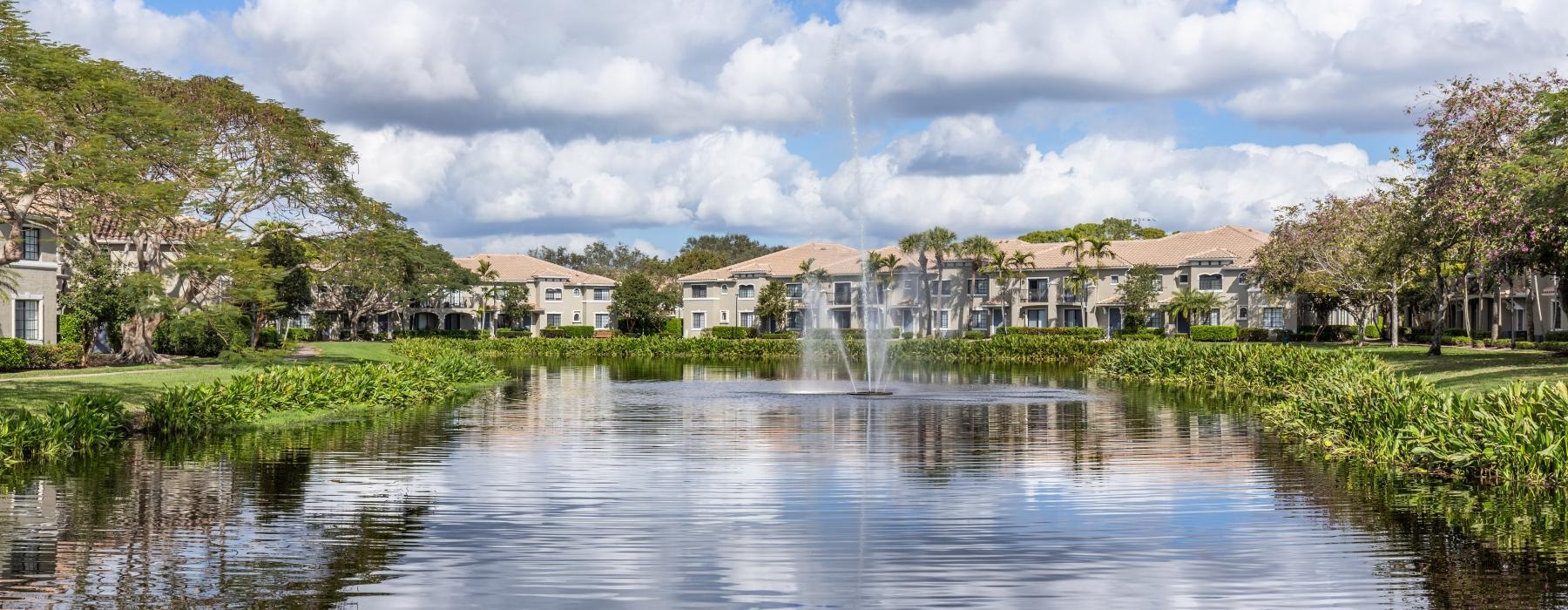 a body of water with buildings and trees around it